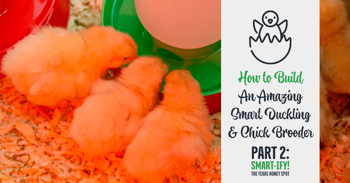 How To Make Amazing Smart Chick and Duckling Brooder - Part 2 (Smart Supplies)